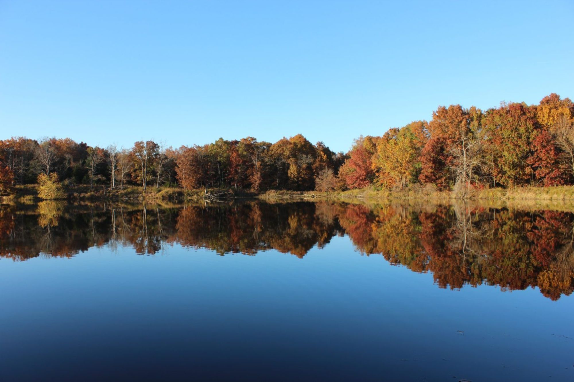 Great outdoors bhenke98 0 1472563891